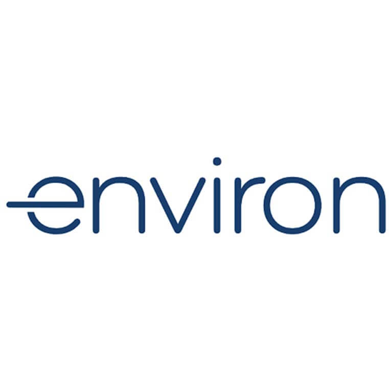 Environ Logo